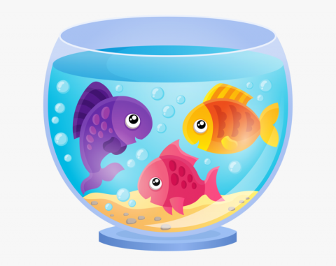 Fish Tank, Grab & Go - Virtual Program - Facebook | Half Hollow Hills ...