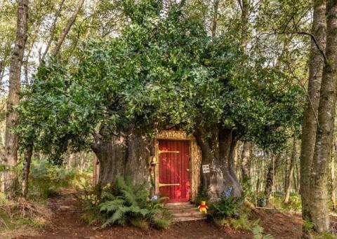 Photograph of the Winnie the Pooh House in Ashdown Forest. It is a thick tree that has a red door in its trunk. There are leaves on the branches on the top part of the tree. There are 2 steps that lead up to the door and a little stuffed Winnie the Pooh is on the top step. 