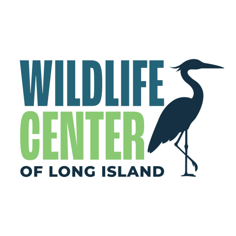 Wildlife Center logo which is in blue and green text next to a silhouette of a bird.