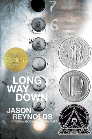 Book Cover of A Long Way Down by Jason Reynolds, which pictures a silver elevator and a focus on the buttons, from floor 6 to 2.