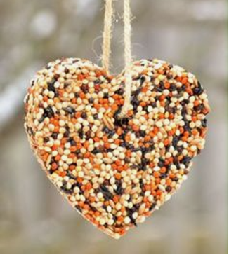 bird seed in a heart hanging from a string